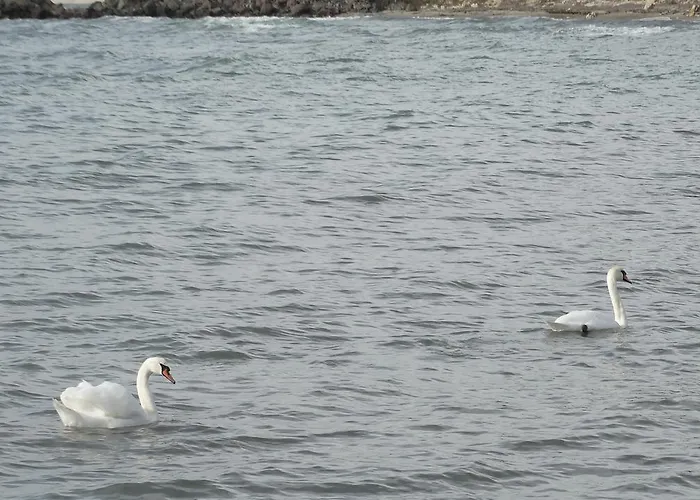 Апартхотел Akrotiria Complex 4*